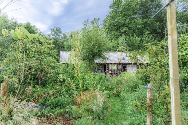 Voedselbos De Zoetenhof