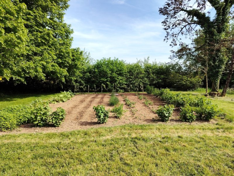 Moestuin begin mei 2026