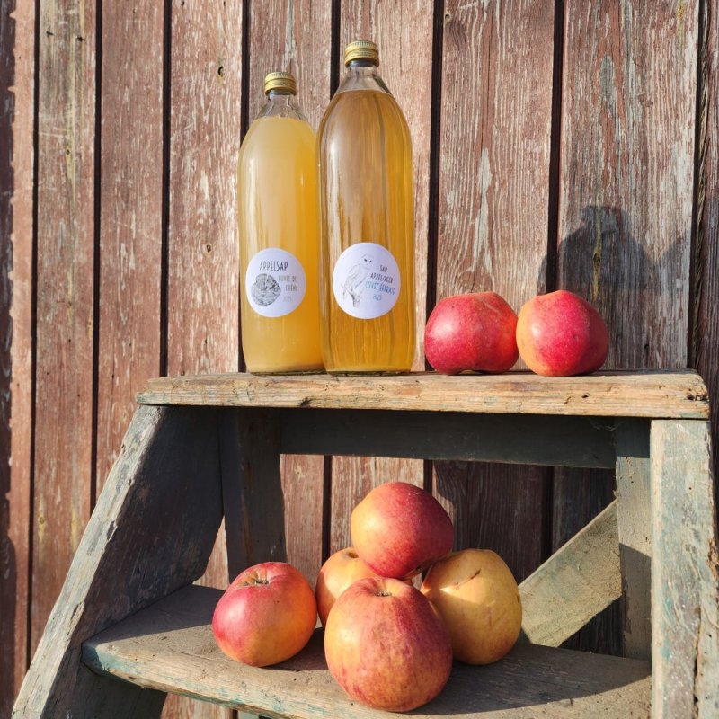 UIT hoogstamboomgaard