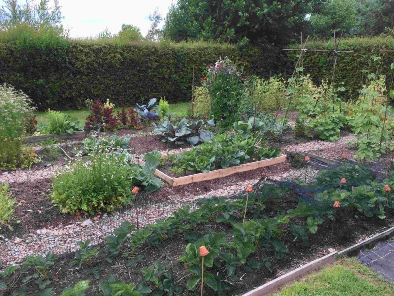 Grote moestuin met 6-wisselteelt