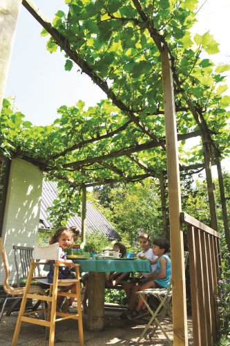 Een fruitboom of -struik voor elke stadstuin |