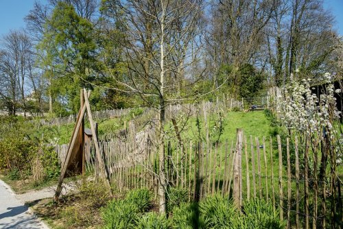 Brusselse boomgaard Refresh