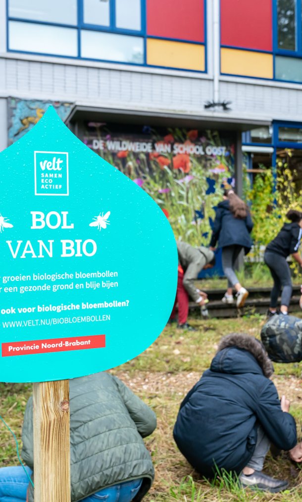 Biologische bloembollen