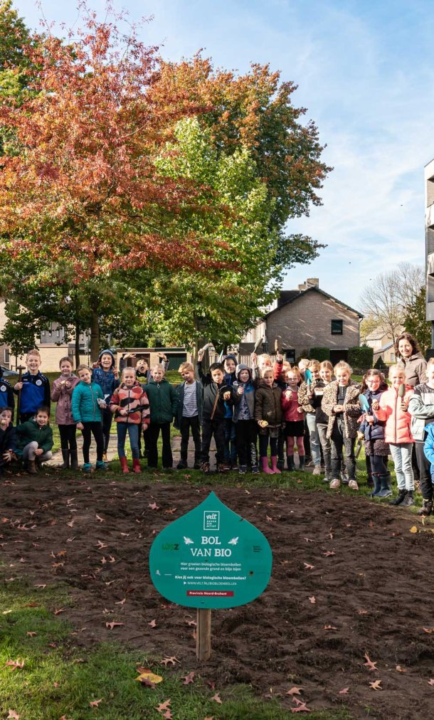 Biologische bloembollen