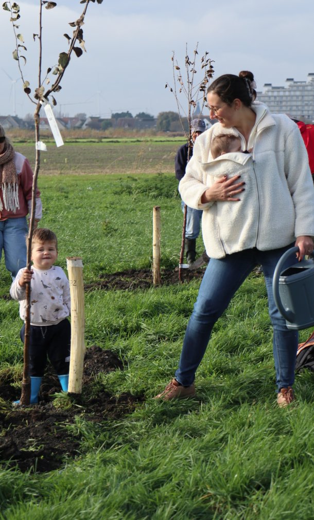 planten