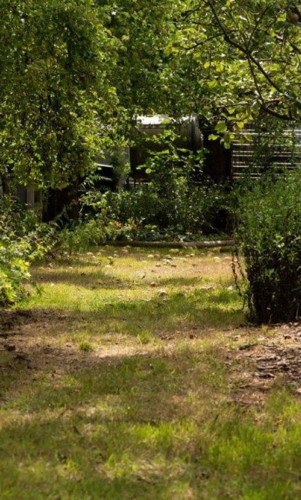 Ecologische kringlooptuin van het Comité Jean Pain