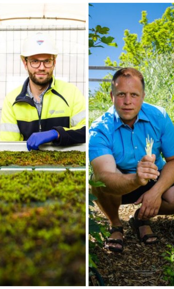 Brochure Onkruid bestaat niet