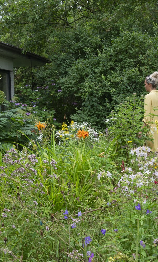 Ecologische tuin: van aanleg tot beheer