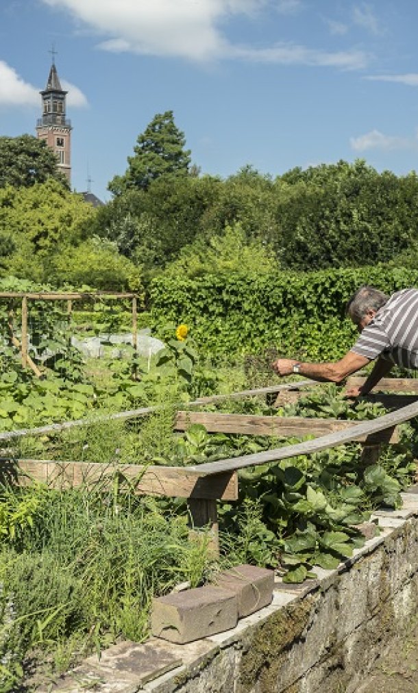 Hitte in de moestuin