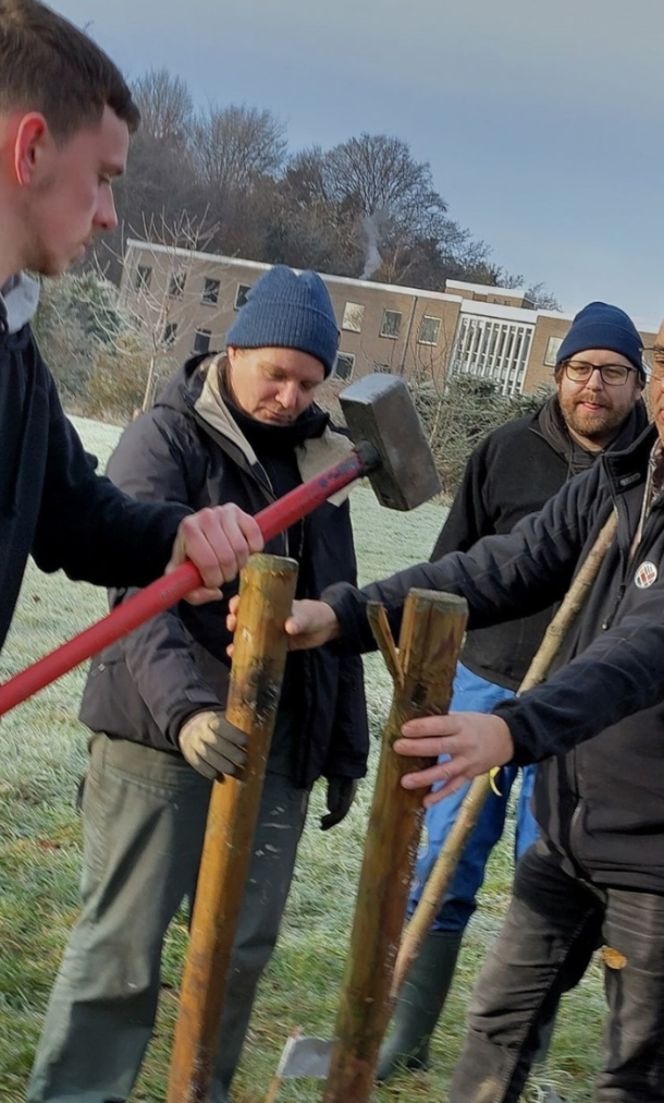 bomen aanplanten leuven