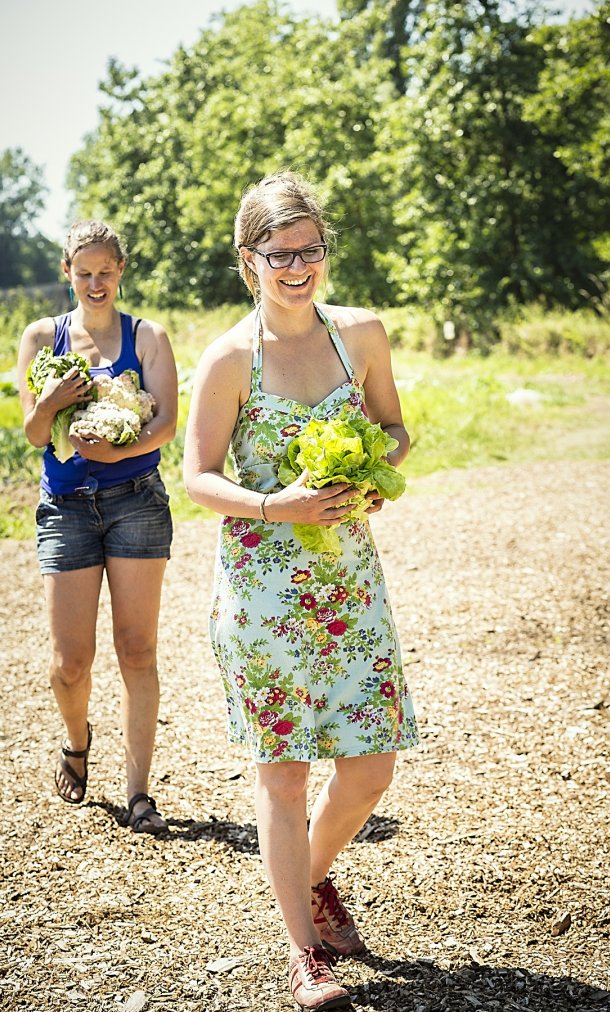 Samenkoken en oogsten