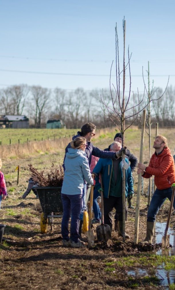 Aanplant voedselbosrand Schelle