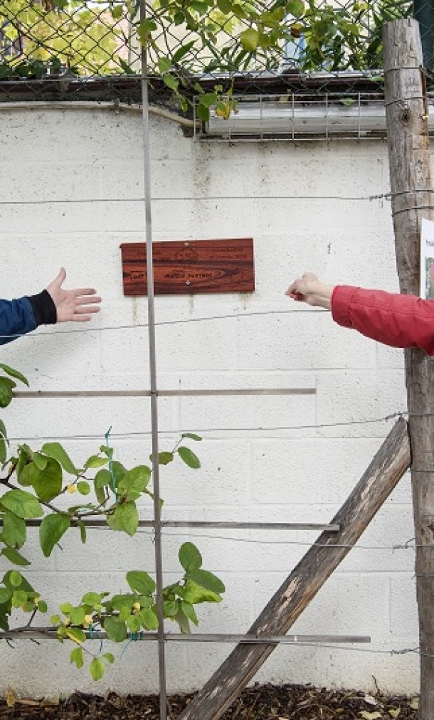 Winaar fruitboomverkiezing 2020 in Brussel