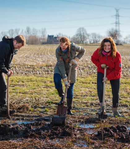 boom planten