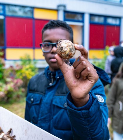 Aanplant van biologische bloembollen