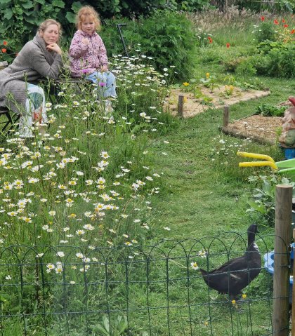 Dag van de vrijwilliger