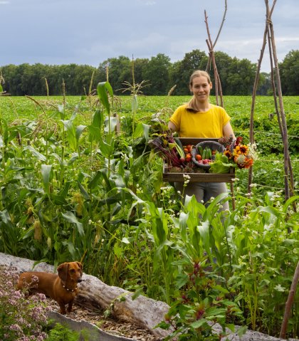 de tuin van Zevenmeers Zeven