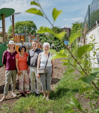 Fruitboomgaard Sint-Lambrechts-Woluwe