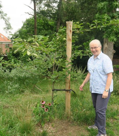 Voedselbos van de hoop