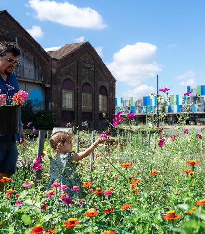 Fleur locale bloemenpluktuin