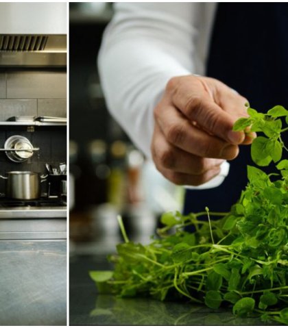 Rudi kookt met onkruiden