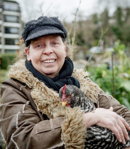 Fruitboomgaard in Brussel