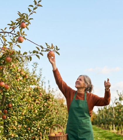Vrouw in boomgaard