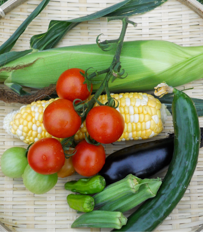 zomergroenten