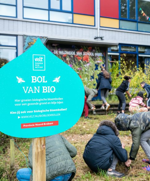 Biologische bloembollen