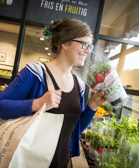 Boodschappentas van Velt