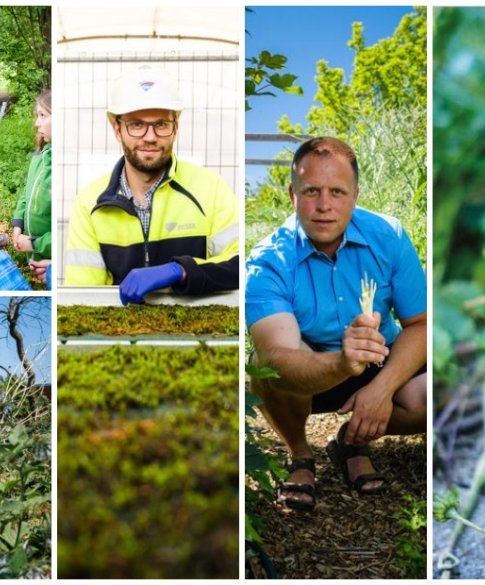 Brochure Onkruid bestaat niet