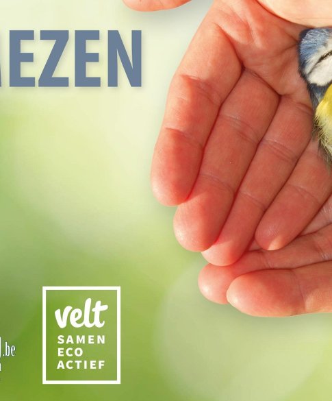 Campagnebeeld SOS Mezen