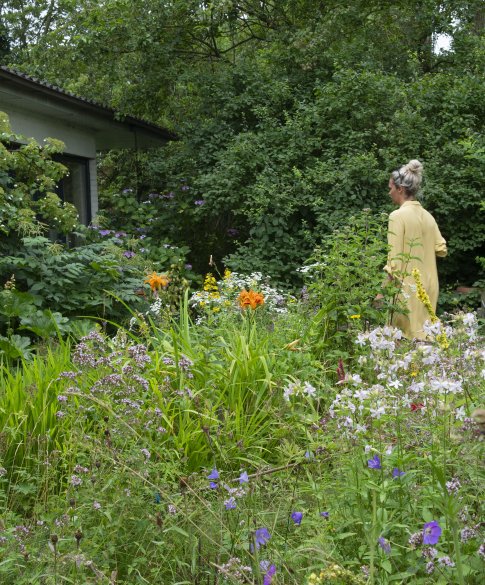 Ecologische tuin: van aanleg tot beheer