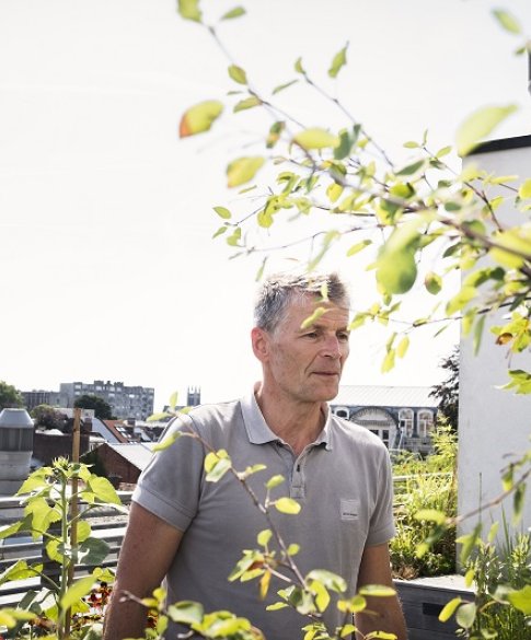 Daktuin in Antwerpen