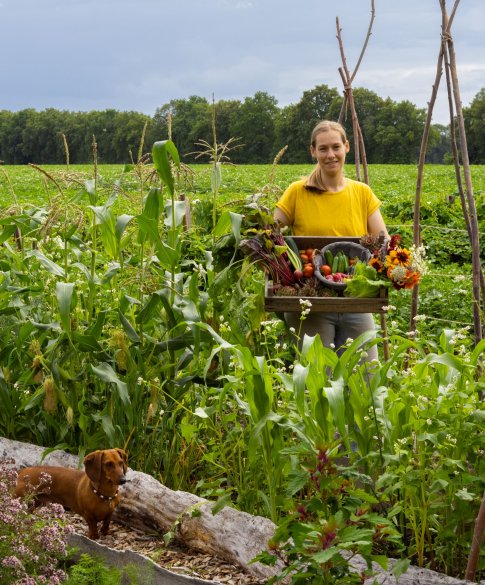 de tuin van Zevenmeers Zeven