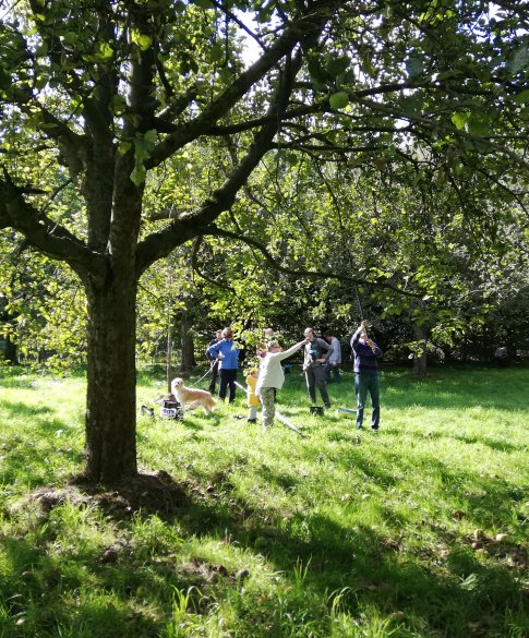 buurtboomgaard Zwijndrecht