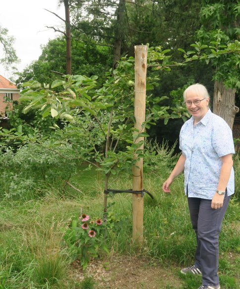 Voedselbos van de hoop
