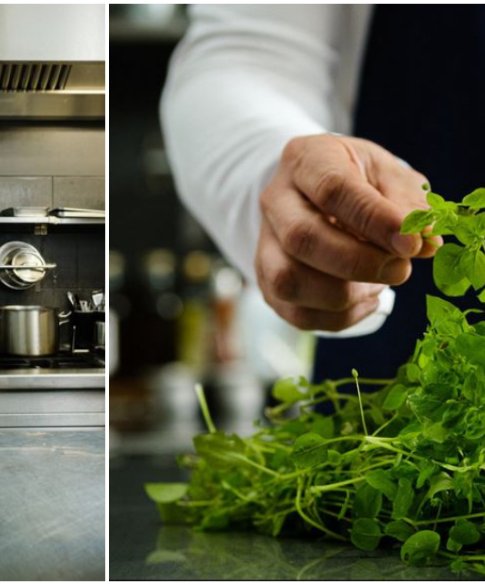 Rudi kookt met onkruiden