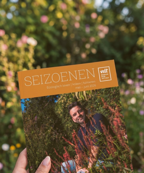 Seizoenen