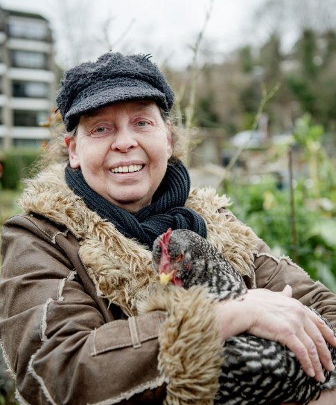 Fruitboomgaard in Brussel