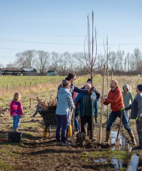 Aanplant voedselbosrand Schelle