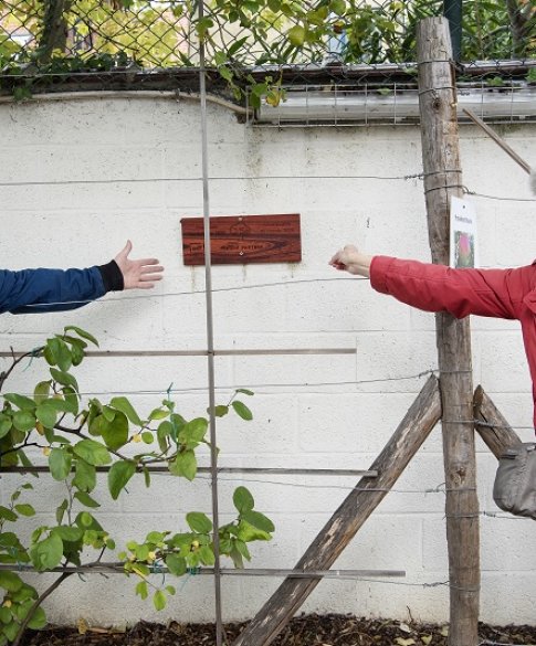 Winaar fruitboomverkiezing 2020 in Brussel