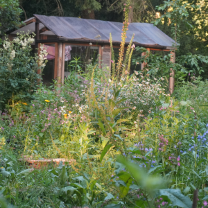 merel van baelen_oevervloed_Balen