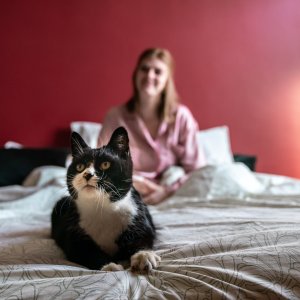 Kat op bed