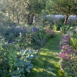 Natuurtuin Nuchter Tzum