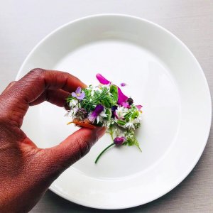 Geitenkaasbloemenballetjes