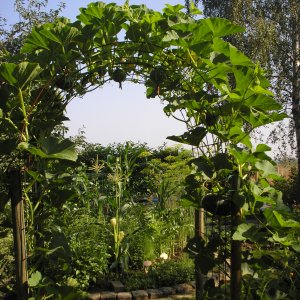 Tuin der wonderen