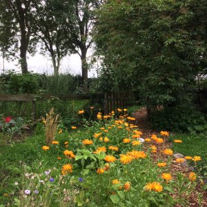 Ontdektuin de Maasakker 1