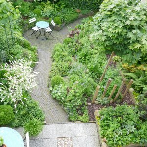 Jossy - Tuin van De Bloeigaard