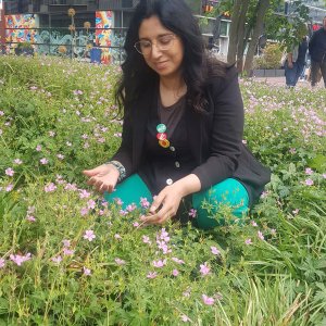 Anjum Iqbal